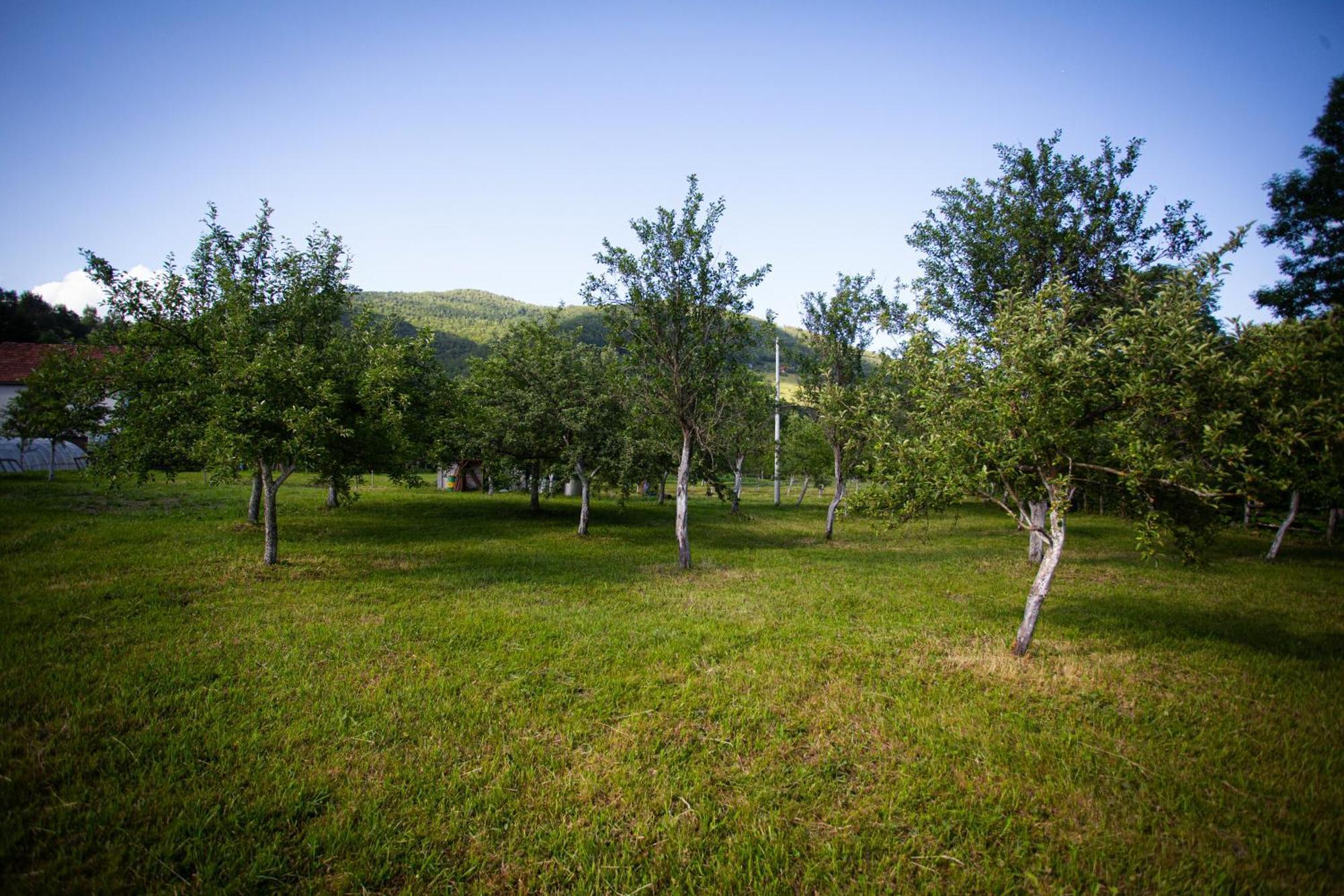 Ethno Village Stitarica Mojkovac Εξωτερικό φωτογραφία
